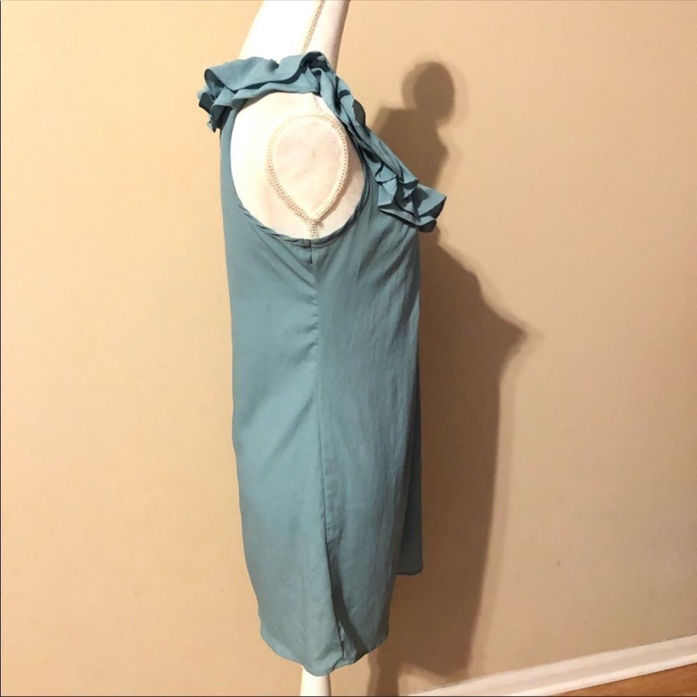 ⭐️ Pins And Needles Ruffle Dress - Picture 3 of 6
